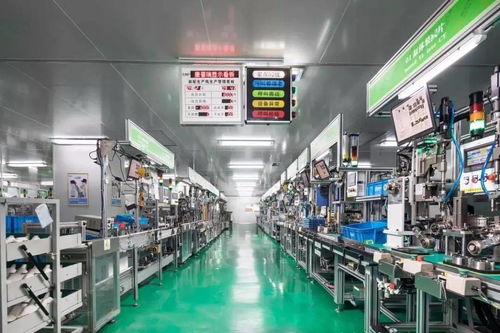 科技賦能，服務創優——區科技局深化信息技術咨詢服務新路徑